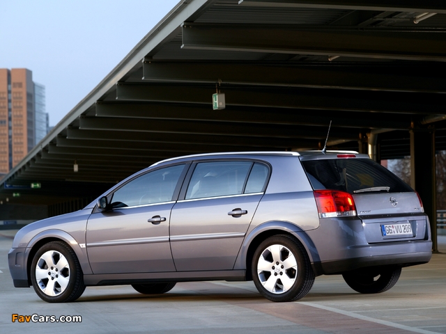 Photos of Opel Signum 2003–05 (640 x 480)