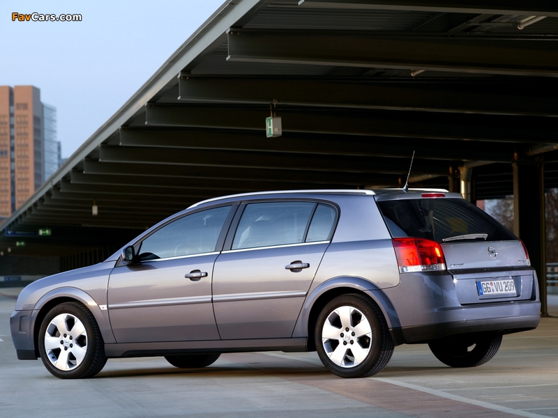 Photos of Opel Signum 2003–05 (800 x 600)