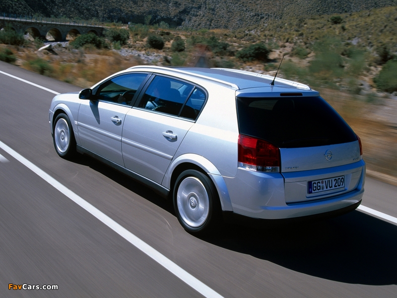 Photos of Opel Signum 2003–05 (800 x 600)