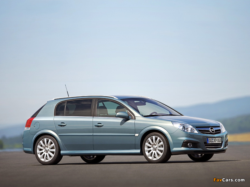 Photos of Opel Signum 2006–08 (800 x 600)