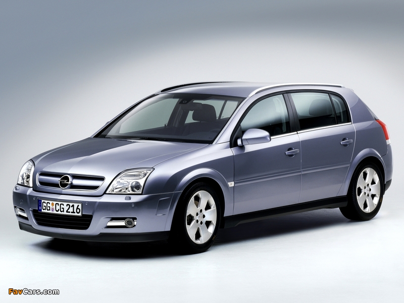 Pictures of Opel Signum 2003–05 (800 x 600)