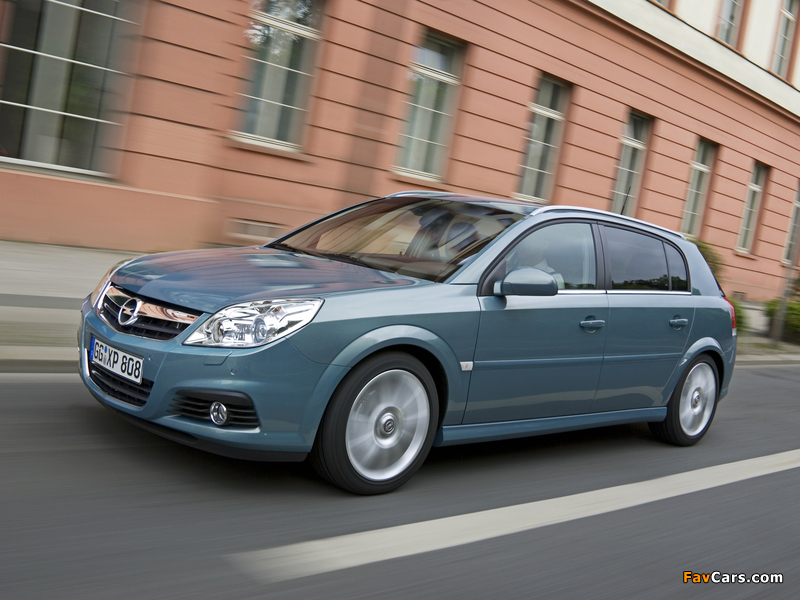 Pictures of Opel Signum 2006–08 (800 x 600)