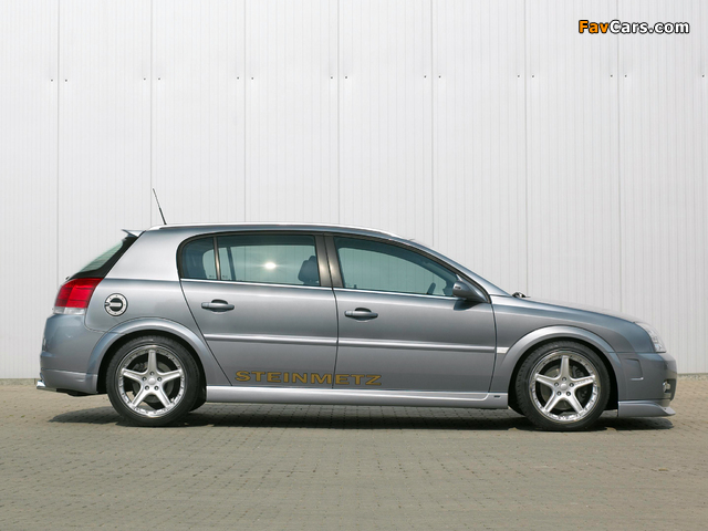 Steinmetz Opel Signum 2004 wallpapers (640 x 480)