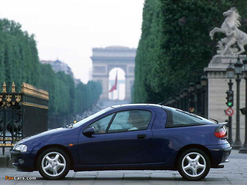 Opel Tigra 1994–2000 pictures (800 x 600)