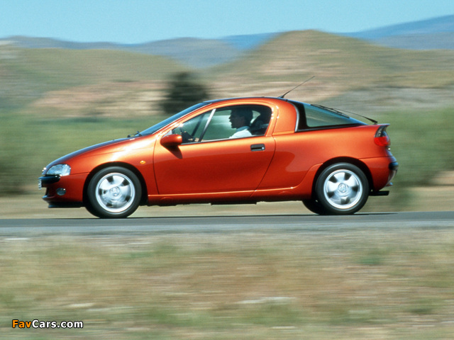 Pictures of Opel Tigra 1994–2000 (640 x 480)