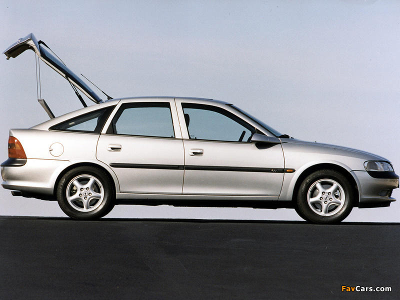 Opel Vectra Hatchback (B) 1995–99 pictures (800 x 600)