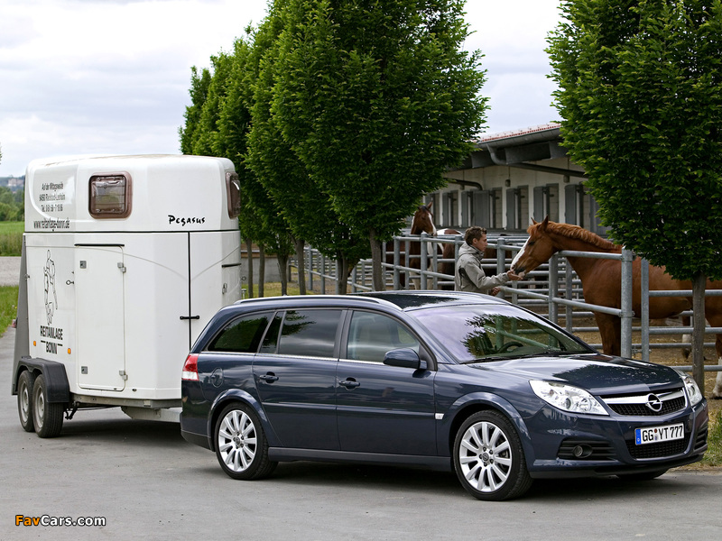 Opel Vectra Caravan (C) 2005–08 photos (800 x 600)