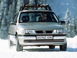 Pictures of Opel Vectra V6 (A) 1993–95