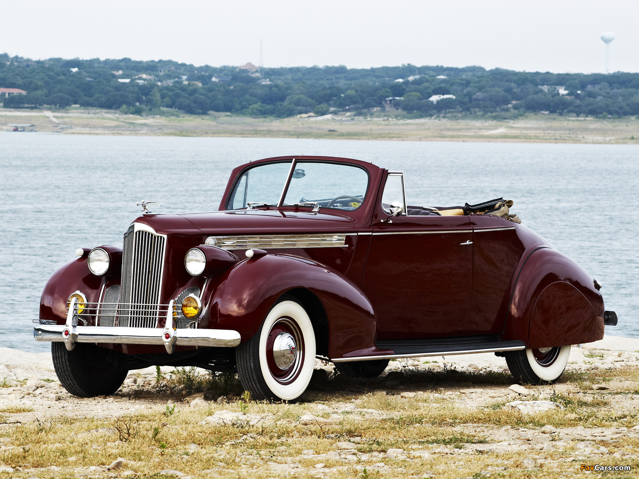 Packard 120 Convertible Coupe 1940 photos (1280 x 960)