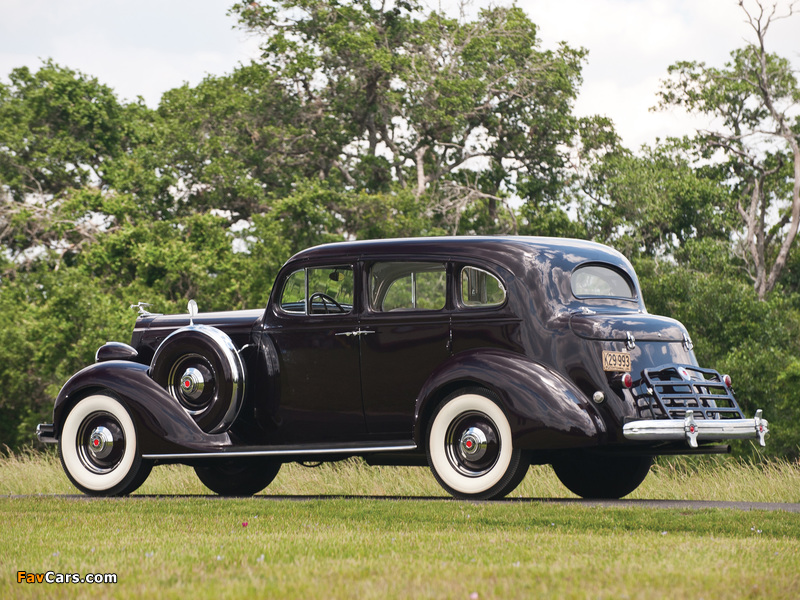 Pictures of Packard 120 Sedan 1936 (800 x 600)