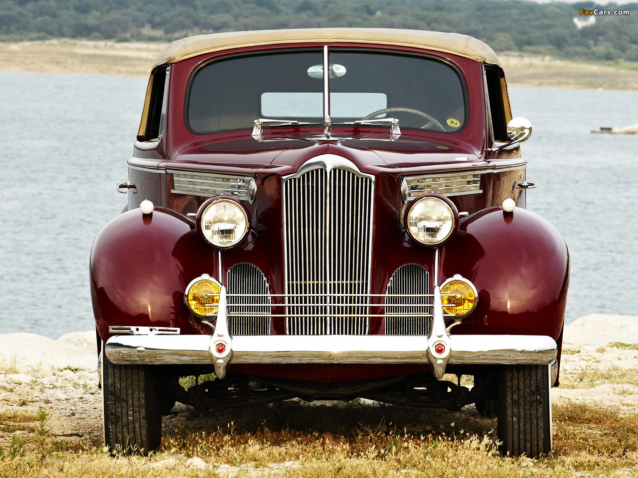 Packard 120 Convertible Coupe 1940 wallpapers (1280 x 960)