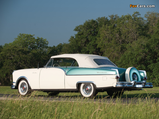 Pictures of Packard Caribbean Convertible Coupe (5478) 1954 (640 x 480)