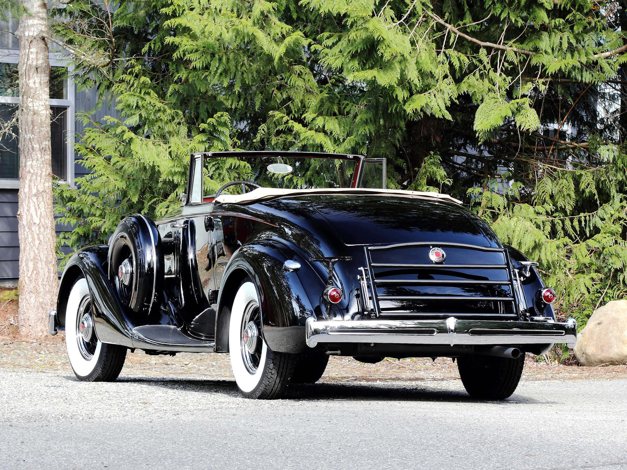 1936 Packard Eight Coupe Roadster (1402-919) 1935–36 pictures (2048 x 1536)