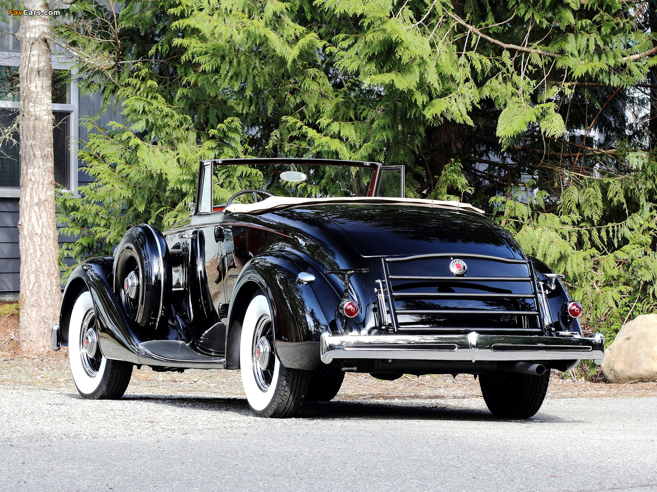 1936 Packard Eight Coupe Roadster (1402-919) 1935–36 pictures (1280 x 960)