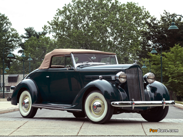 Pictures of Packard Six Convertible (115-C) 1937 (640 x 480)