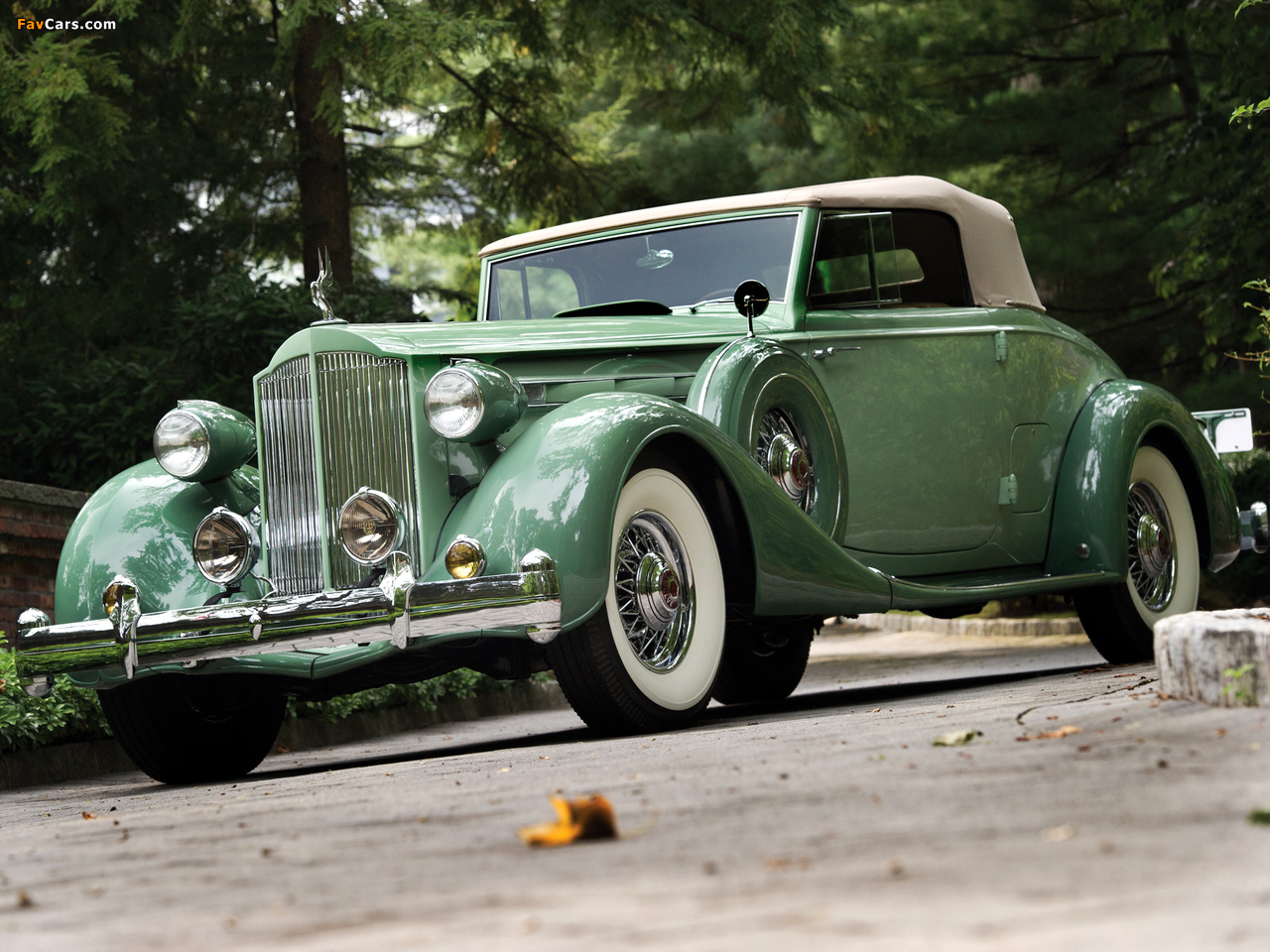 Images of Packard Twelve Coupe Roadster (1407-939) 1936 (1280 x 960)