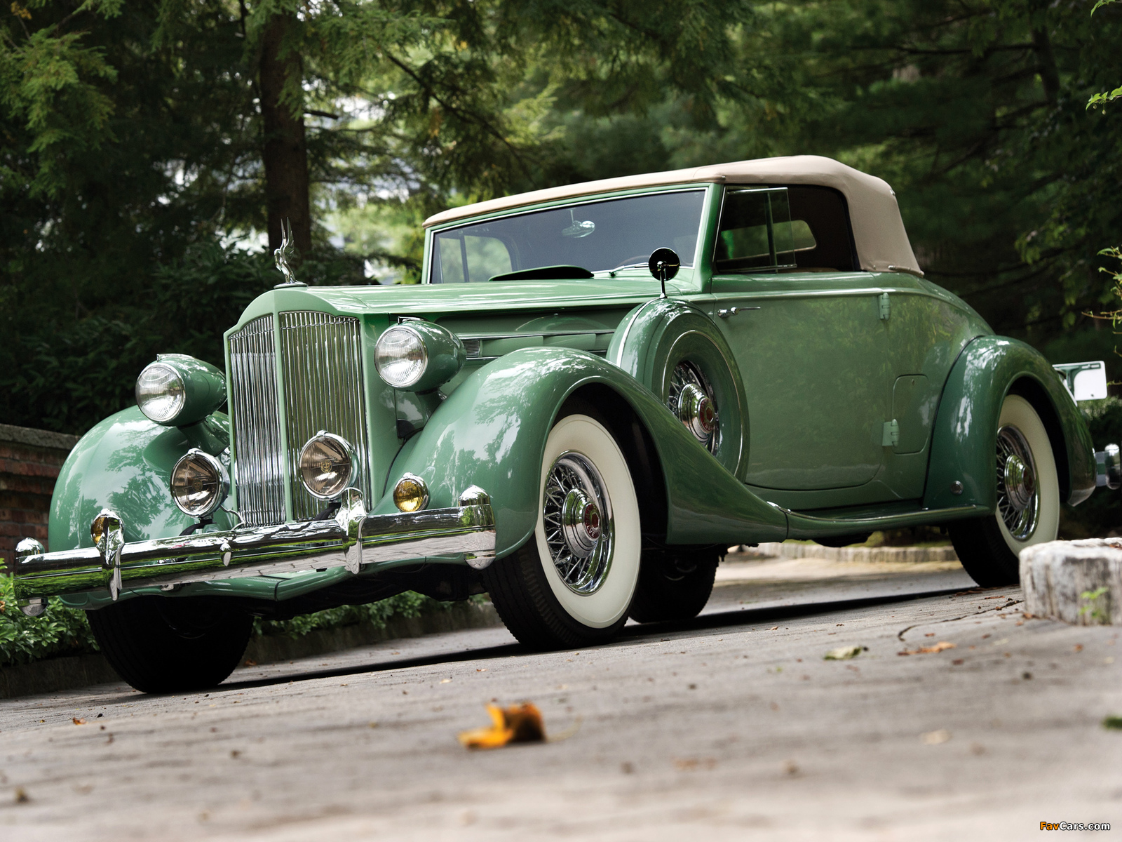 Images of Packard Twelve Coupe Roadster (1407-939) 1936 (1600 x 1200)