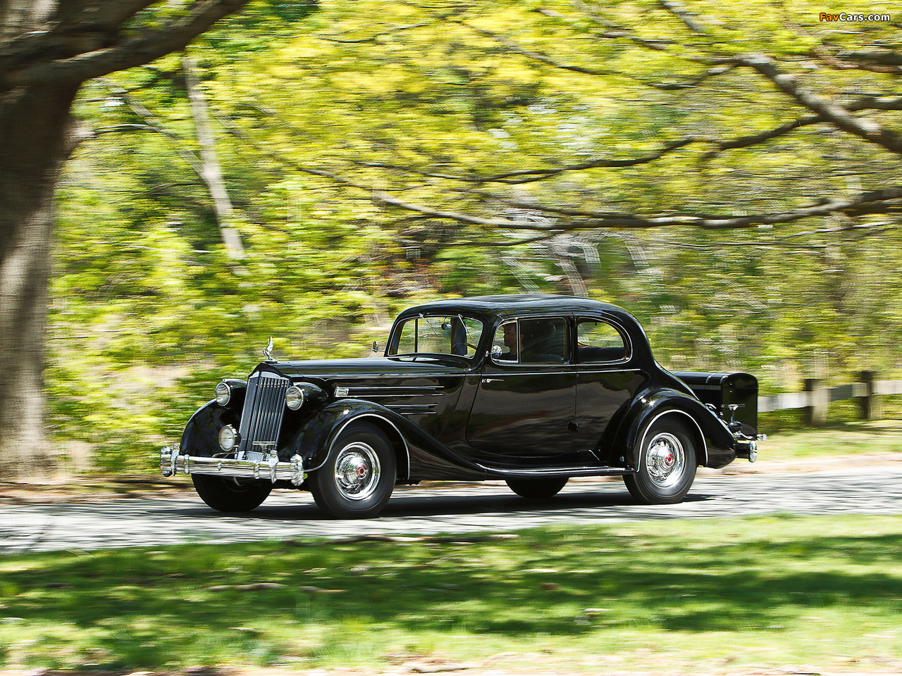 Packard Twelve 5-passenger Coupe (1407) 1936 images (1280 x 960)