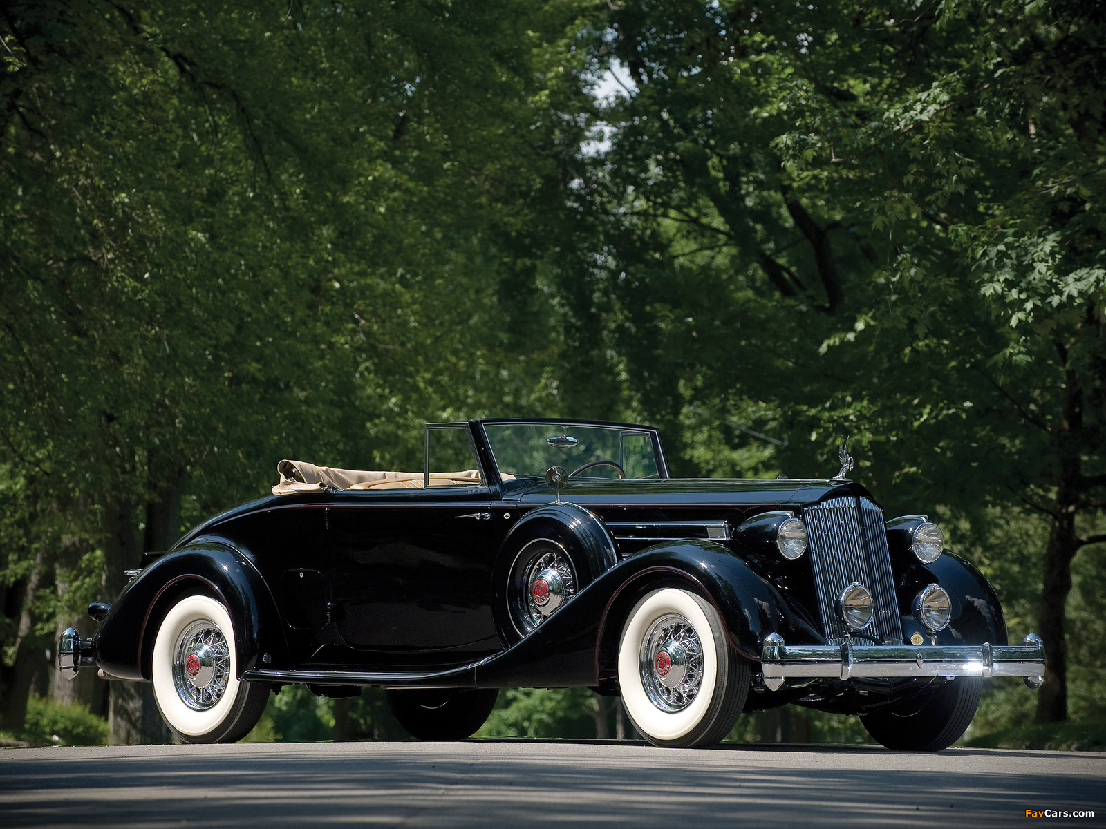 Packard Twelve Coupe Roadster (1407-939) 1936 pictures (1600 x 1200)