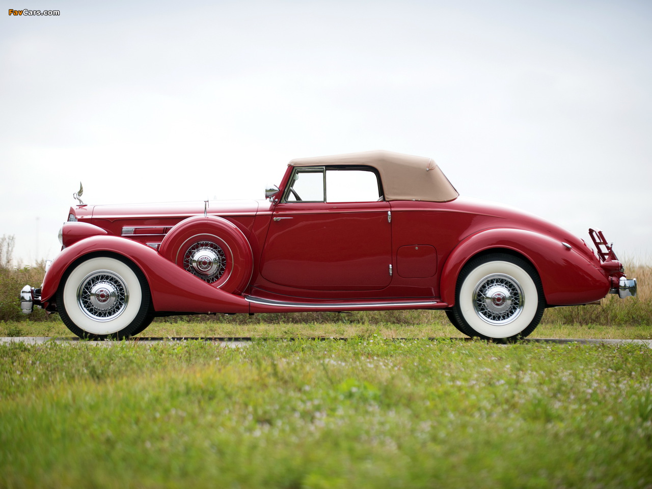 Packard Twelve Coupe Roadster (1407-939) 1936 pictures (1280 x 960)