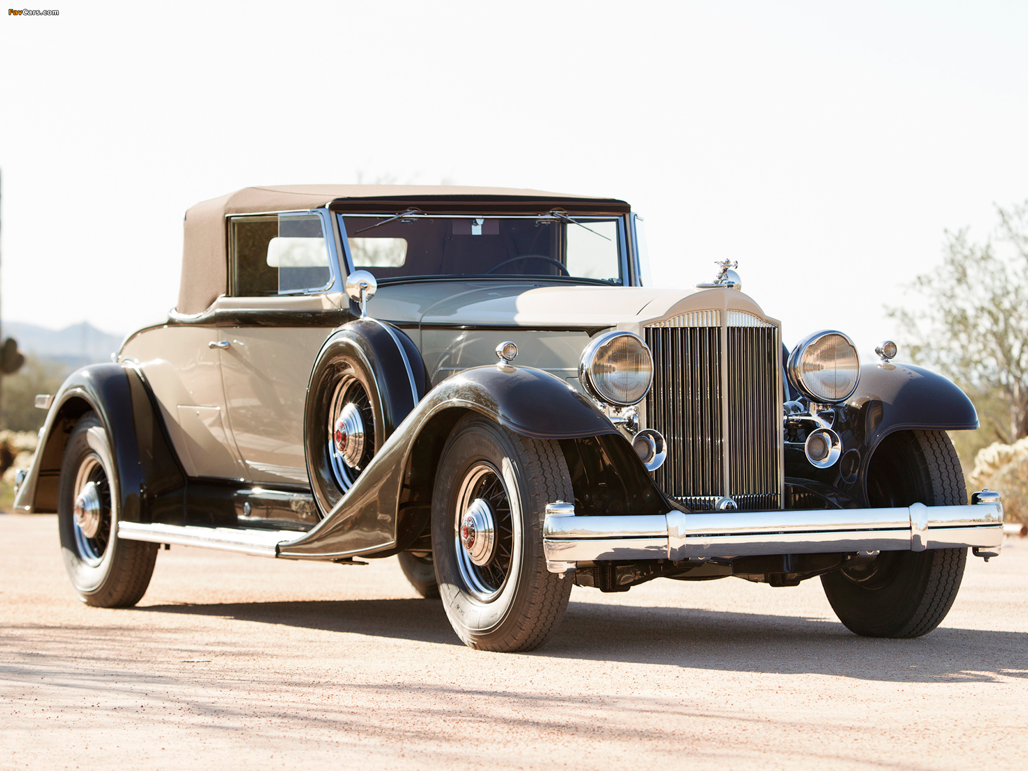 Photos of Packard Twelve Coupe Roadster (1005-639) 1933 (2048 x 1536)