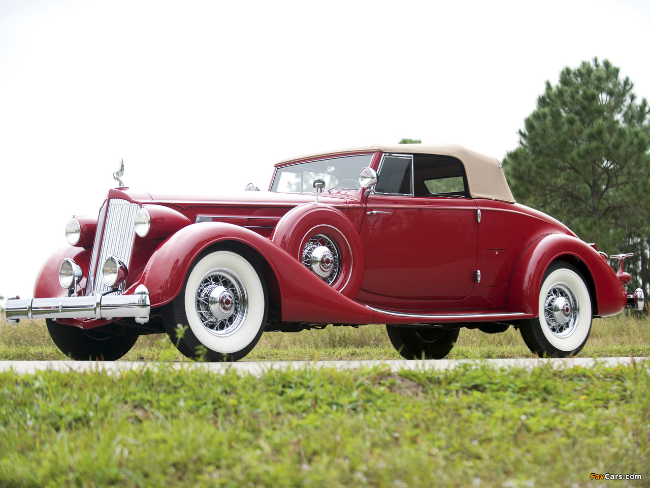 Photos of Packard Twelve Coupe Roadster (1407-939) 1936 (1280 x 960)