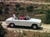 Photos of Peugeot 204 Cabriolet 1966–70