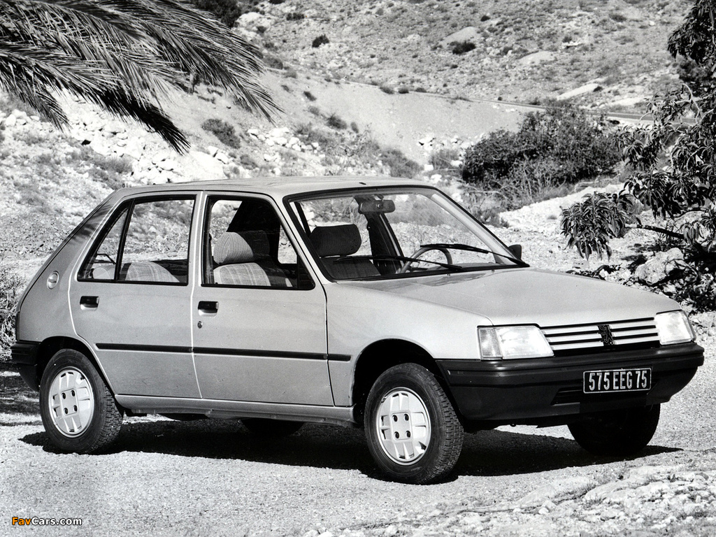 Images of Peugeot 205 5-door 1983–98 (1024 x 768)