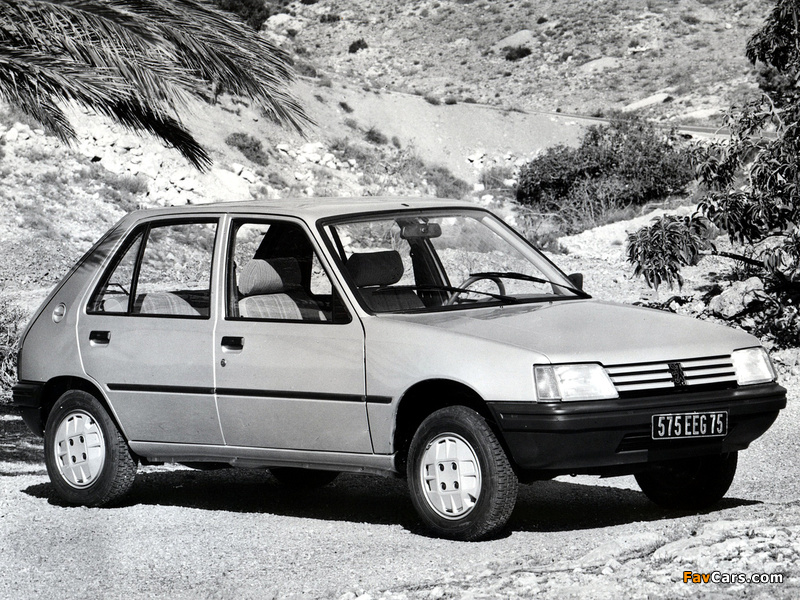 Images of Peugeot 205 5-door 1983–98 (800 x 600)