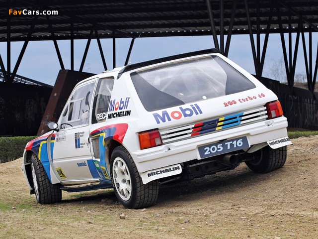 Images of Peugeot 205 T16 Rally Car 1984–85 (640 x 480)