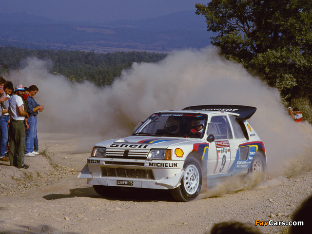 Peugeot 205 T16 Rally Car 1984–86 images (640 x 480)