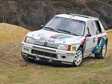 Peugeot 205 T16 Rally Car 1984–85 photos