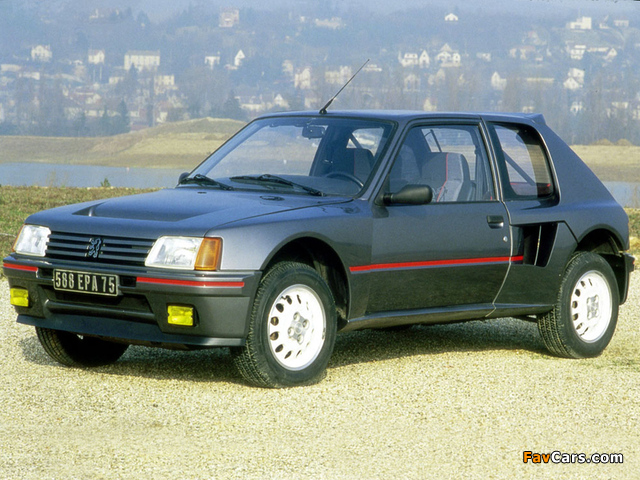 Peugeot 205 T16 1984–85 wallpapers (640 x 480)
