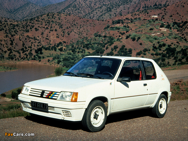 Peugeot 205 Rallye 1988–90 pictures (640 x 480)