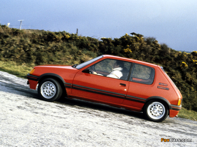 Photos of Peugeot 205 GTi 1984–94 (640 x 480)