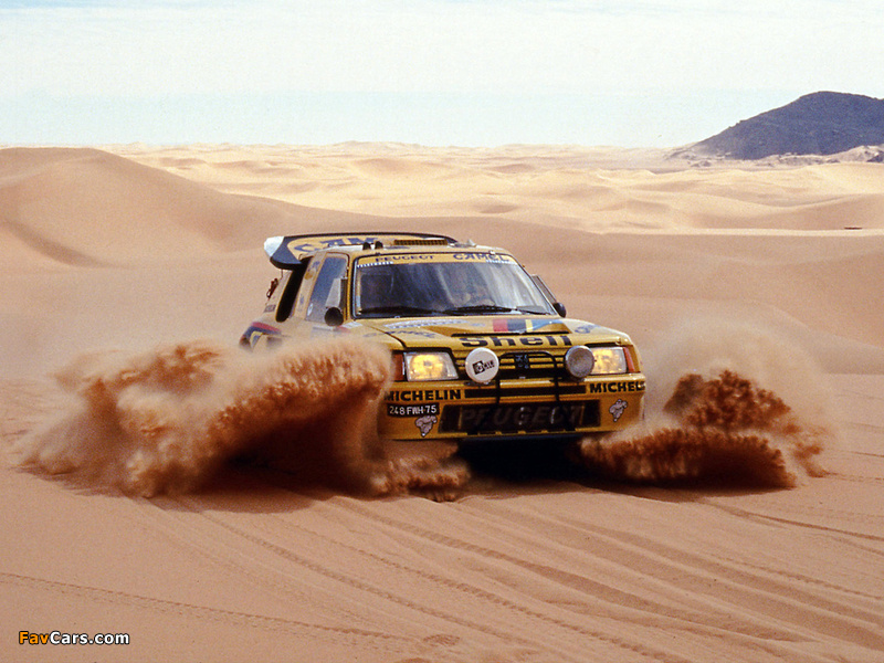 Pictures of Peugeot 205 T16 Rally Car 1984–85 (800 x 600)