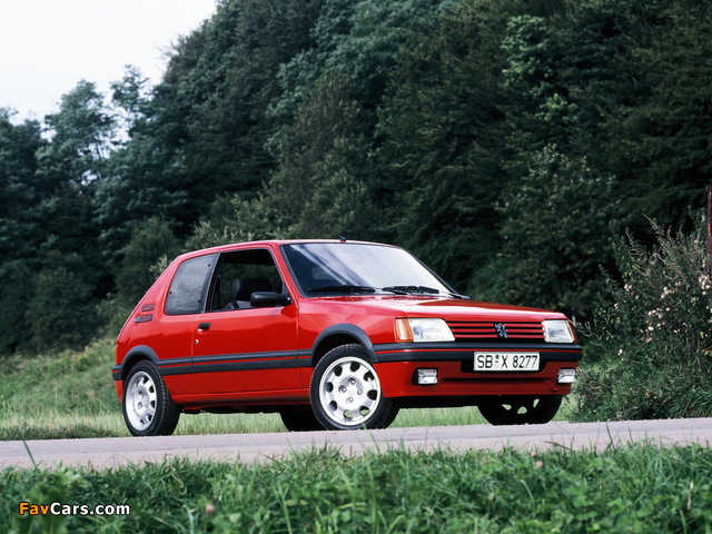 Pictures of Peugeot 205 GTi 1984–94 (640 x 480)