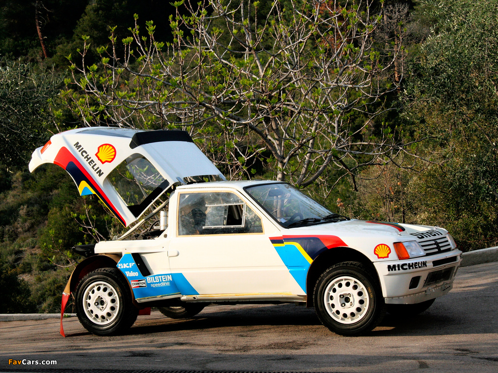 Pictures of Peugeot 205 T16 Rally Car 1984–85 (1024 x 768)
