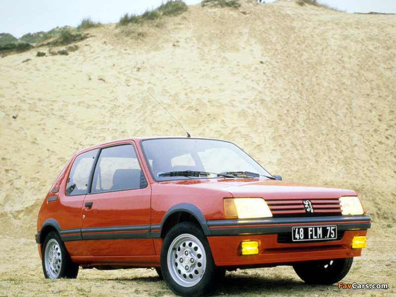 Pictures of Peugeot 205 GTi 1984–94 (800 x 600)