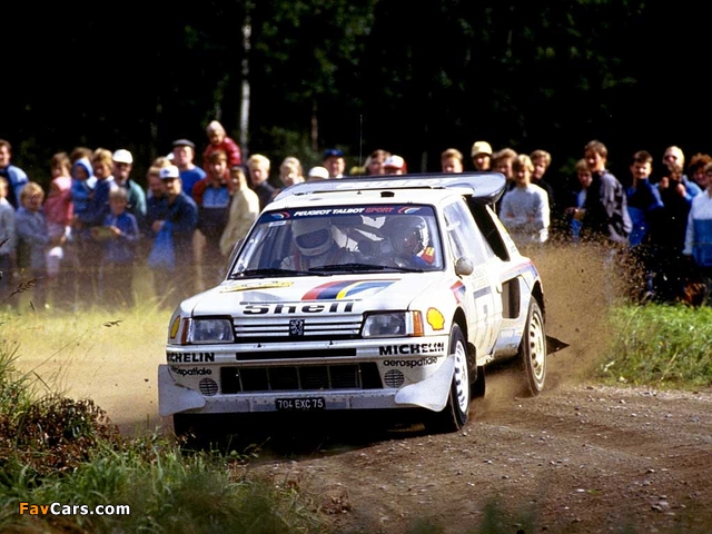 Pictures of Peugeot 205 T16 Rally Car 1984–85 (640 x 480)