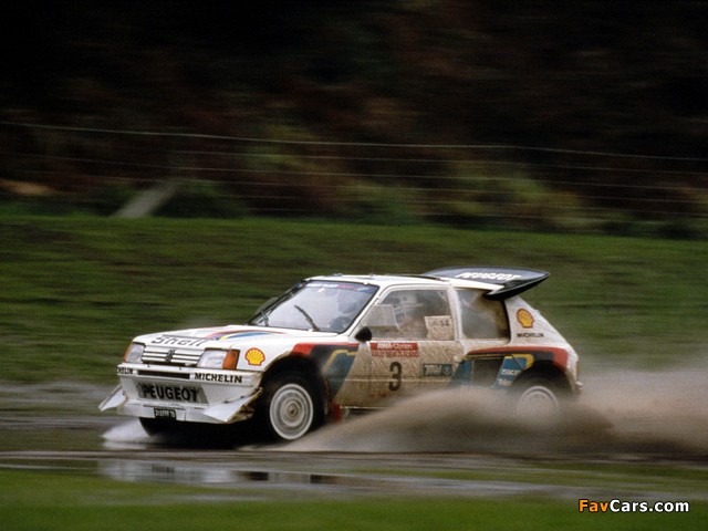 Pictures of Peugeot 205 T16 Rally Car 1984–85 (640 x 480)