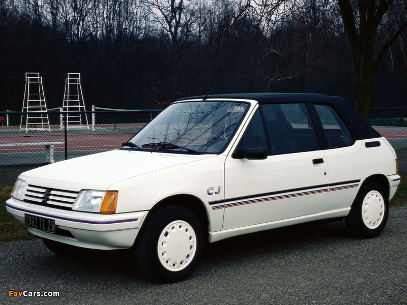 Pictures of Peugeot 205 SJ Cabrio 1986–90 (800 x 600)