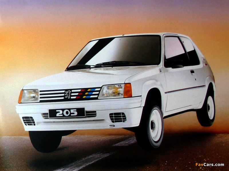Pictures of Peugeot 205 Rallye 1988–90 (800 x 600)