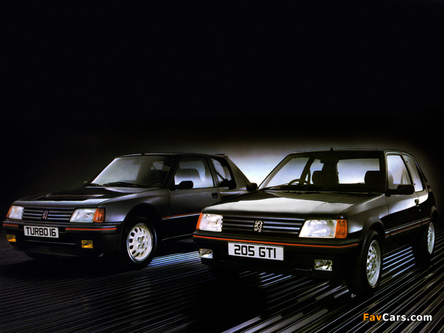 Pictures of Peugeot 205 (640 x 480)