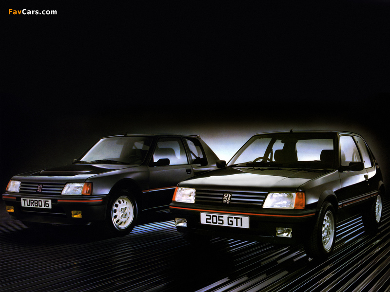 Pictures of Peugeot 205 (800 x 600)