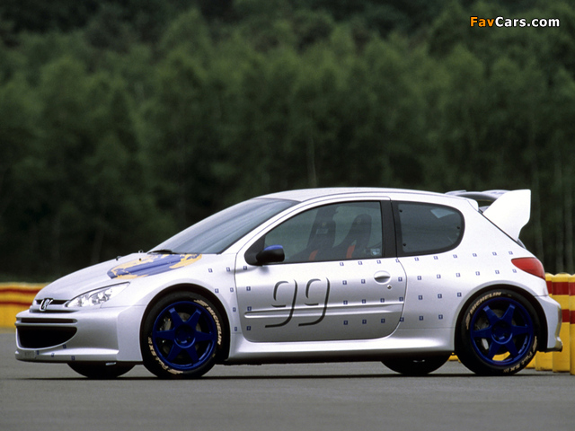 Images of Peugeot 206 WRC Concept 1998 (640 x 480)