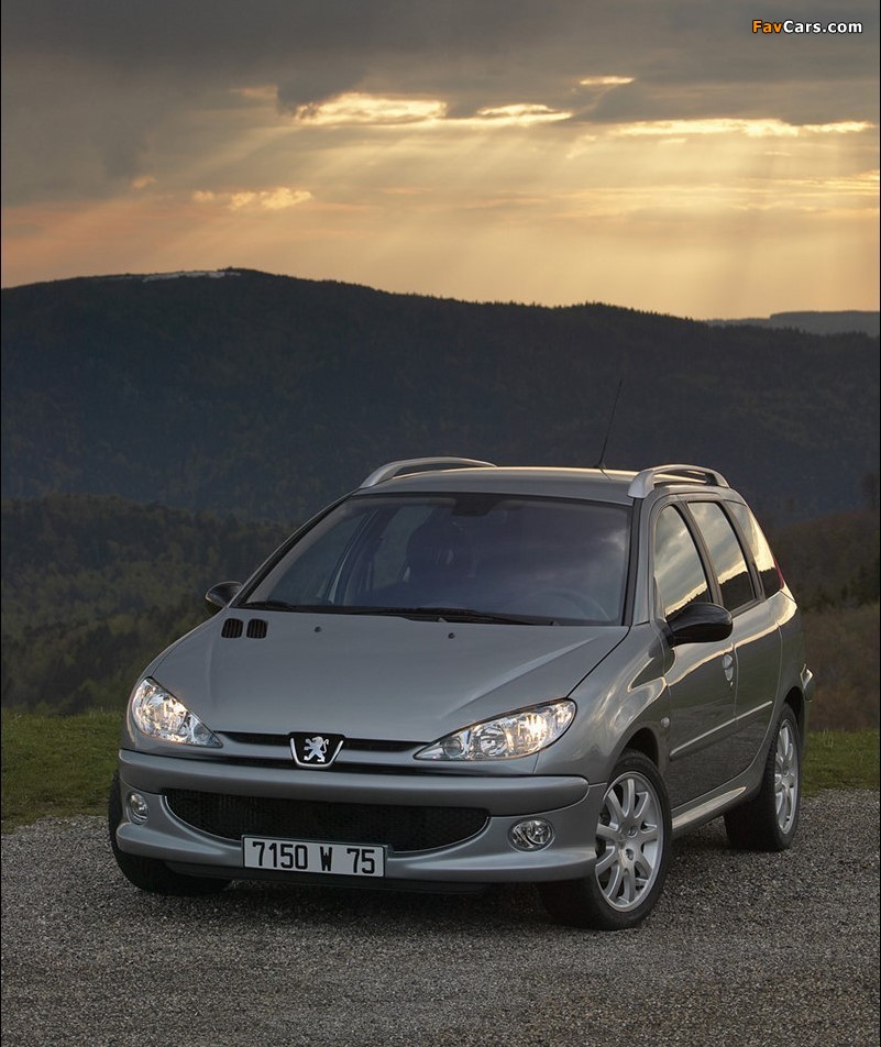 Images of Peugeot 206 SW 2002–06 (801 x 952)