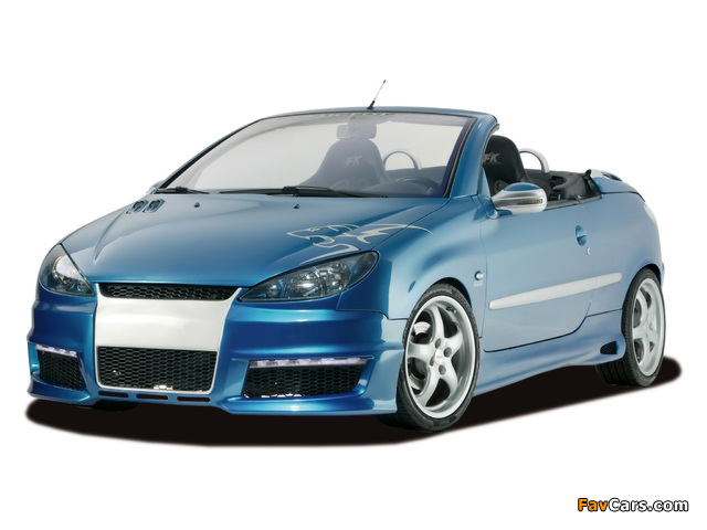 RDX Racedesign Peugeot 206 CC 2003–06 images (640 x 480)