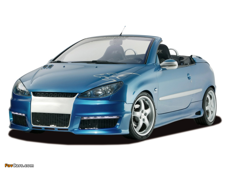 RDX Racedesign Peugeot 206 CC 2003–06 images (800 x 600)