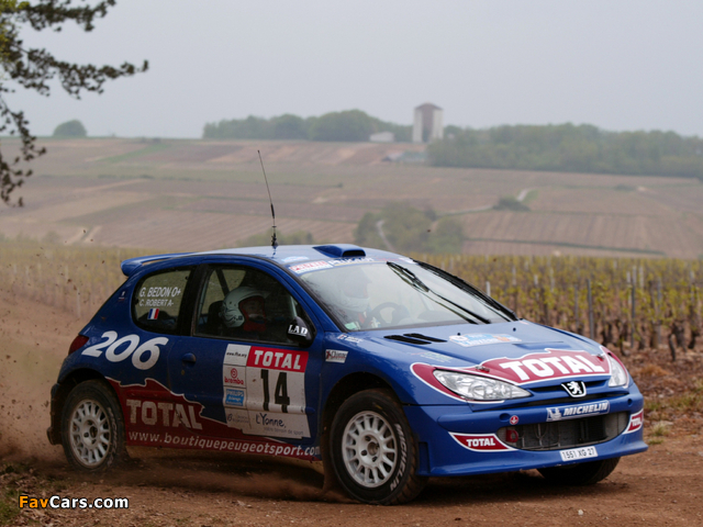 Peugeot 206 Super 1600 wallpapers (640 x 480)